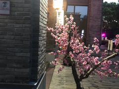 -虎焱炭火烧肉