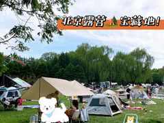 -朝阳公园