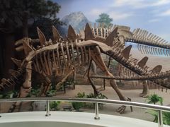 -延庆地质公园博物馆