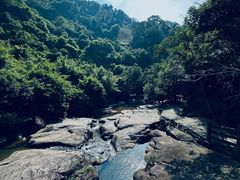 -广州白江湖森林公园