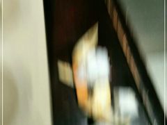 -鼎尊锅物料理(五角场店)