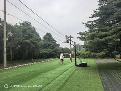 -尚庄度假村·庭台树下·户外烧烤·团建CS·轰趴营地(上庄水库店)