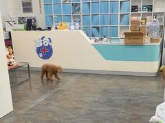 -暖阳宠物医院·犬猫康复中心·骨科