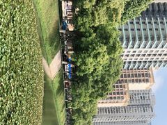 -西北湖绿化广场