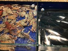 -高佳庄·舟山海鲜(海景旗舰店)