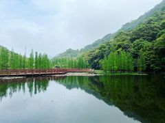 -广州市石门国家森林公园