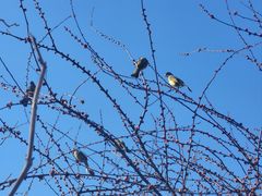 -西部长青自然儿童乐园