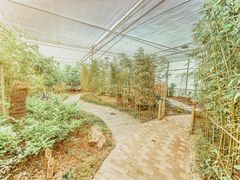 -世纪公园-世纪春沁园