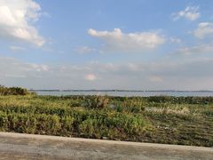 -七的湖·晚芳亭·阳澄湖农家菜·大闸蟹(莲花岛店)
