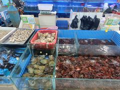 -胡家庙海鲜副食批发市场