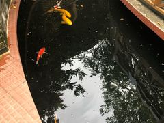 -侠成水上农庄(工业大道店)