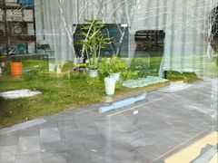 -昆山城市生态森林公园