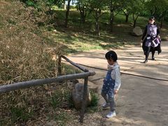 -府君山公园