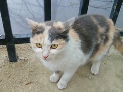 -终南山南五台景区