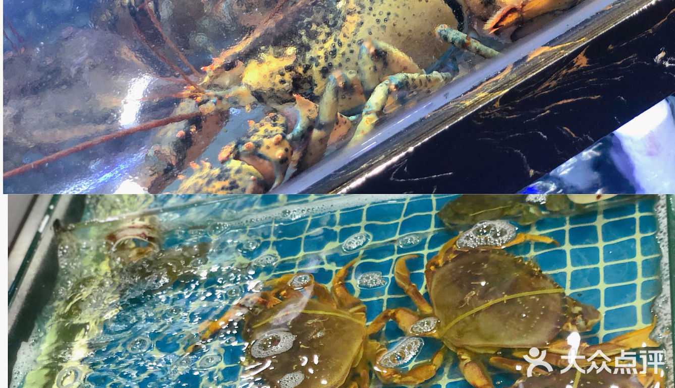 厦门探店｜藏在曾厝安小巷里的美味海鲜餐厅