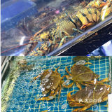 厦门探店｜藏在曾厝安小巷里的美味海鲜餐厅