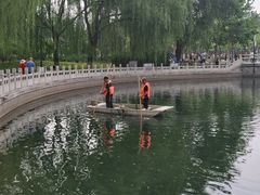 -莲花池公园