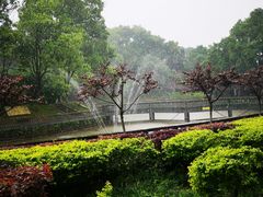 -西南政法大学(沙坪坝校区)