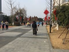 -苏州市运河公园-停车场