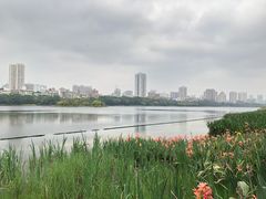 -南宁南湖公园