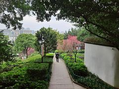 -乌山风景区