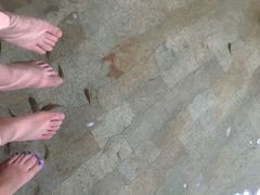 -碧水湾温泉