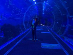 -成都浩海立方海洋公园