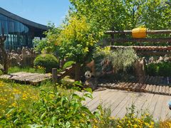 -大连森林动物园