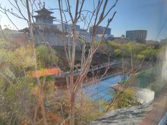 -教师之家赵家羊汤馆(东青龙街店)