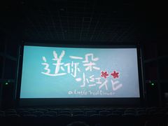 -北京英嘉国际影城(金源CINITY店)