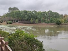 -上海海湾国家森林公园