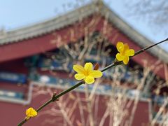 -香山公园