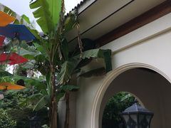 -苏州湾王焰温泉度假酒店