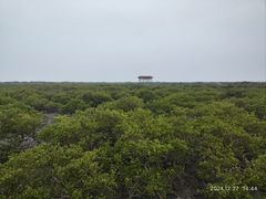 -北海金海湾红树林生态旅游区