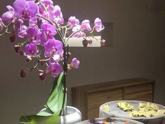 -雲說·花(西宸天街店)