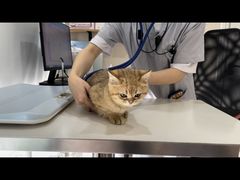 -立德动物医院·24小时中心(番禺区院区)