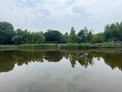 -大望京公园