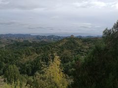 -磬锤峰森林公园