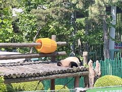 -大连森林动物园