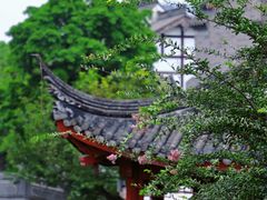 -龙潭水乡