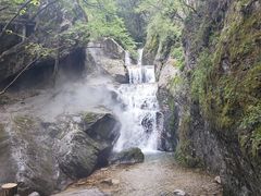 -牛背梁国家森林公园