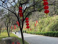 -广州市帽峰山景区