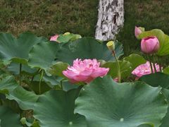 -沐仙湖湿地公园