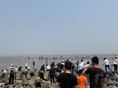 -南汇嘴观海公园