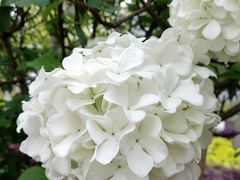 -大龙山(地铁站)