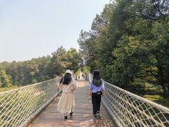 -铁山坪森林公园