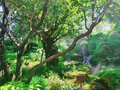 -Chom Cafe and Restaurant