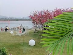 -福建鲤鱼洲酒店