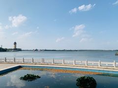 -溱湖国家湿地公园