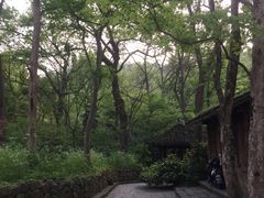 -杭州西湖风景名胜区-三生石